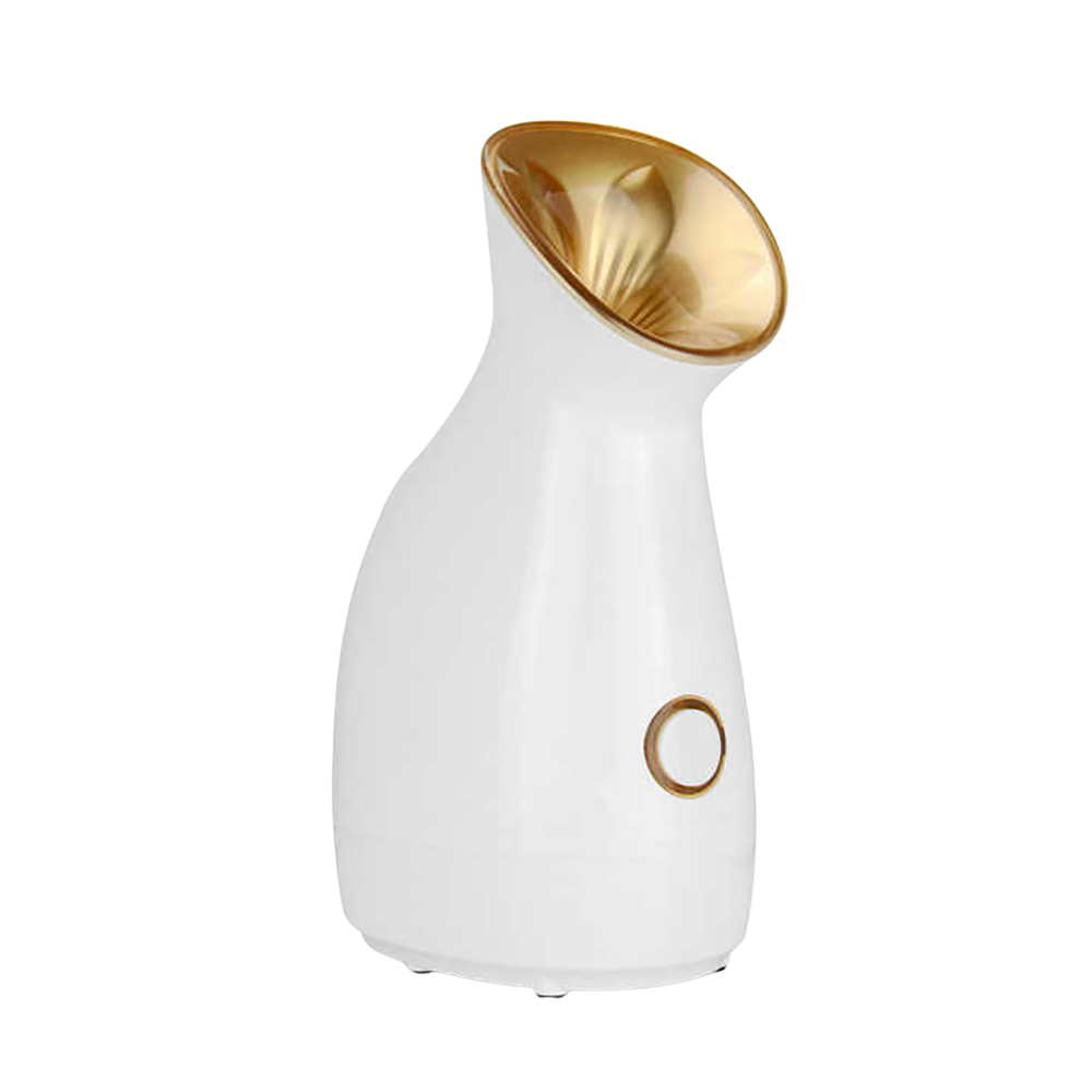 HYDROSTEAM - Facial Steamer