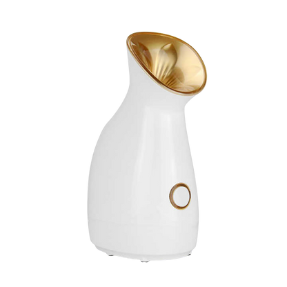 HYDROSTEAM - Facial Steamer